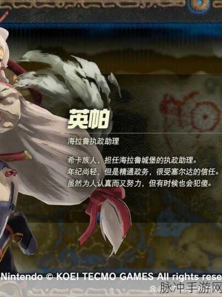 塞尔达无双灾厄启示录无限刷武器攻略,深度解析方法与技巧