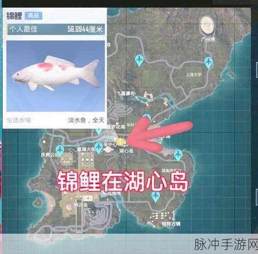 和平精英绿洲世界钓鱼指南,全面掌握钓鱼方法与技巧