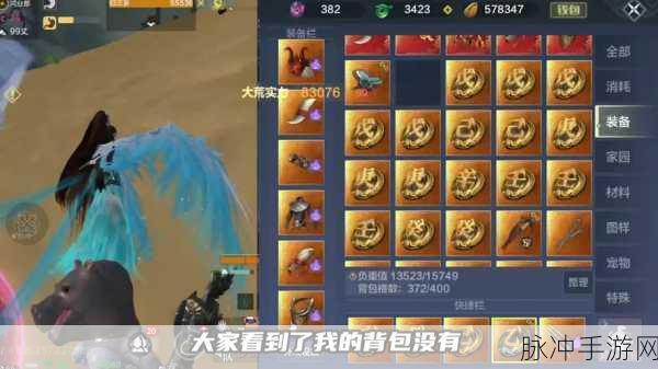 妄想山海石烜掉落材料全攻略,解锁巨兽宝藏的秘诀