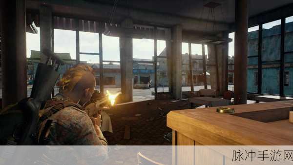 绝地求生大逃杀,详解常见窗口提示及其应对策略
