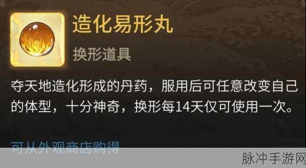 一念逍遥造化易形丸使用全攻略