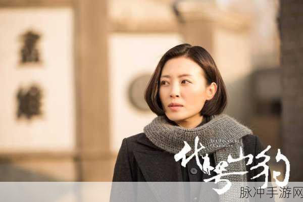 代号山豹,赵文忠的情缘与归宿深度解析攻略