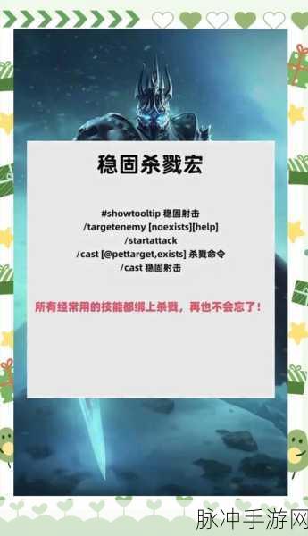 魔兽世界80级后猎人宏深度解析与实战攻略