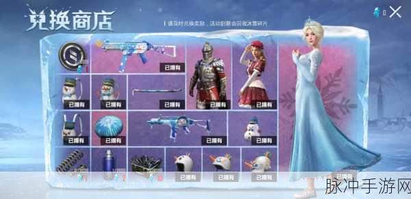 和平精英新套装维京奇缘深度解析与获取攻略