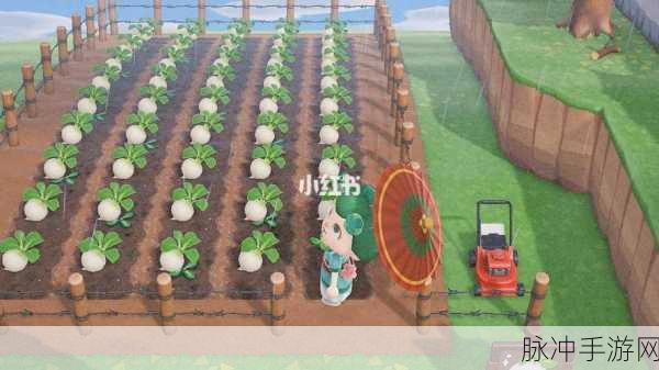 动物森友会大头菜购买指南,轻松掌握致富秘诀