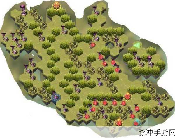 剑与远征涌潮林地深度攻略，揭秘最佳路线与通关秘籍