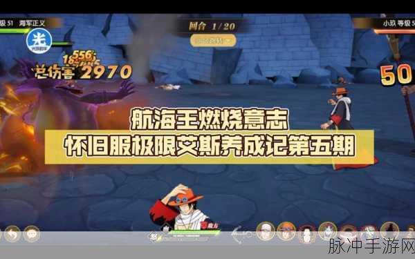 航海王燃烧意志艾斯技能加点攻略与实战技巧全面解析