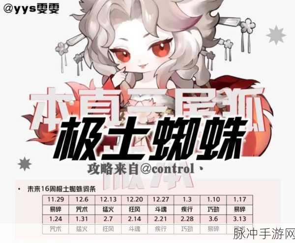 阴阳师极土蜘蛛狂风登顶阵容深度解析与推荐