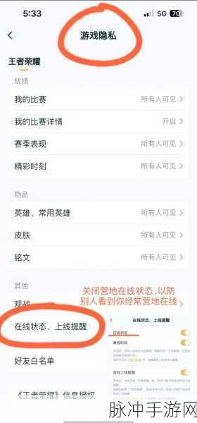 王者荣耀隐身后，玩家如何查看最近上线时间？