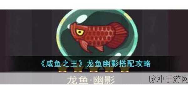 咸鱼之王7765关通关攻略分享,解锁轻松过关的终极技巧与秘诀