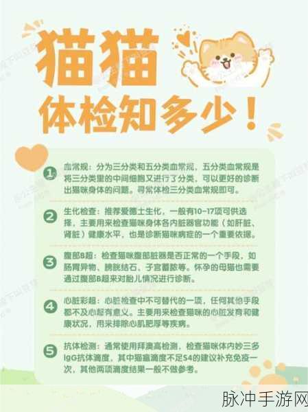 凌云诺季危楼宠物搭配与宠物推荐全攻略
