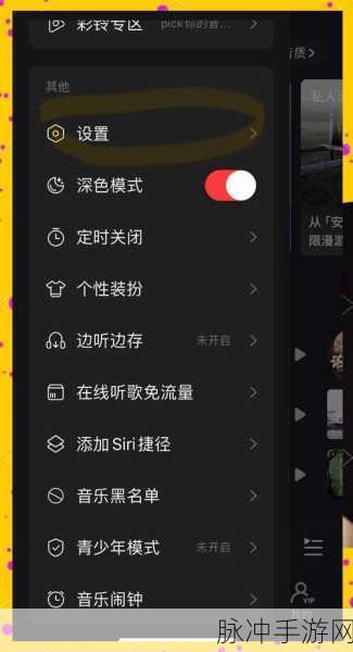 手游攻略，如何在网易云音乐中设置个性化背景，提升游戏沉浸感