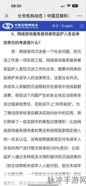 王者荣耀防沉迷政策全解析,手游公司的责任与担当