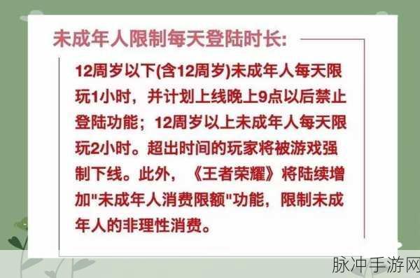 王者荣耀防沉迷政策全解析,手游公司的责任与担当