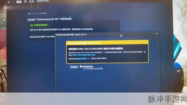 绝地求生遭遇Steam封禁风波，游戏界掀起波澜与应对策略