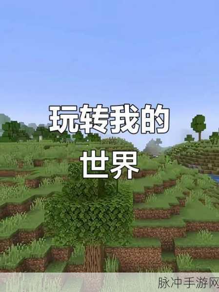 我的世界,探索无限可能,你准备好踏上这场冒险之旅了吗?