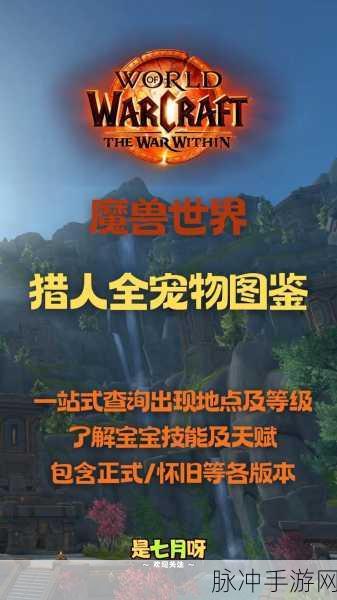 猎人宠物升级全攻略，从新手小白到高手大神的蜕变之旅