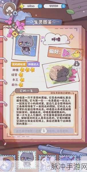 宠物故事,爆炸消除游戏的经典魅力与深度攻略