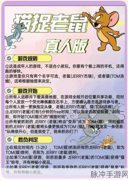 宠物故事,爆炸消除游戏的经典魅力与深度攻略