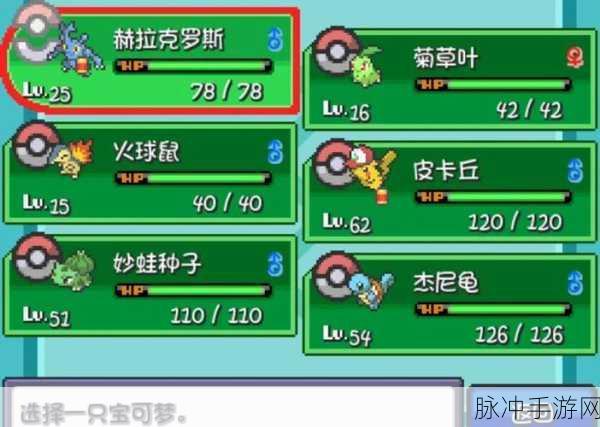 口袋妖怪魂银,深度解析火球鼠培养策略与问题应对