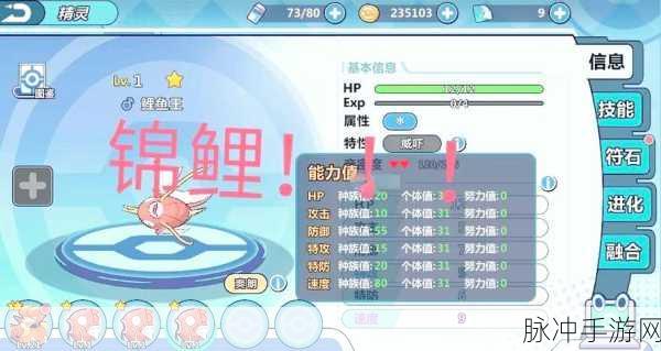 口袋妖怪6v详解，手游公司视角下的顶级精灵培育攻略