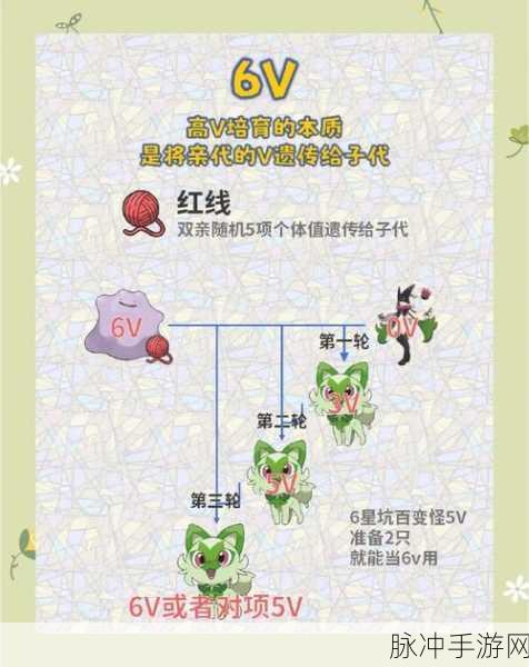 口袋妖怪6v详解,手游公司视角下的顶级精灵培育攻略