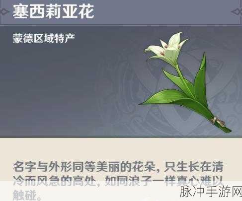 原神迷途指南,探秘摘星崖塞西莉亚花的秘密分布