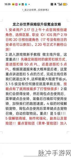 龙之谷手游攻略,狙翎与魔羽,单刷之路谁主沉浮?