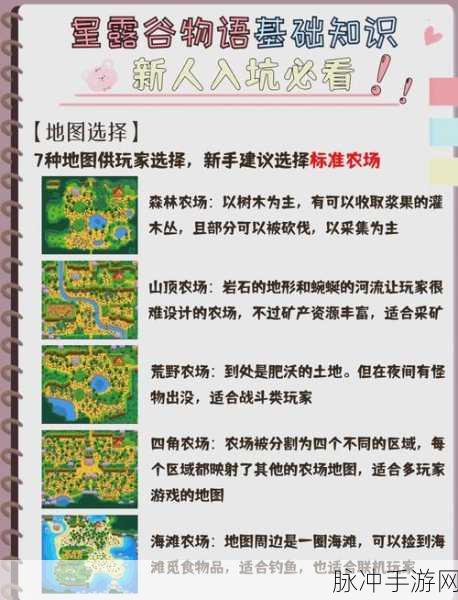 星露谷物语深度攻略，乔迪的每日行程详解