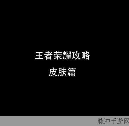 王者荣耀皮肤选择指南,哪款皮肤更值得入手?