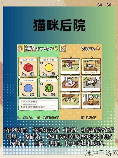 留恋猫馆手游深度攻略，猫咪养成乐趣无穷，预约下载抢先体验