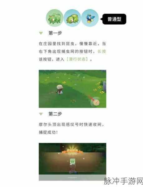 摩尔庄园手游攻略,捕捉绿带翠凤蝶的奇妙之旅