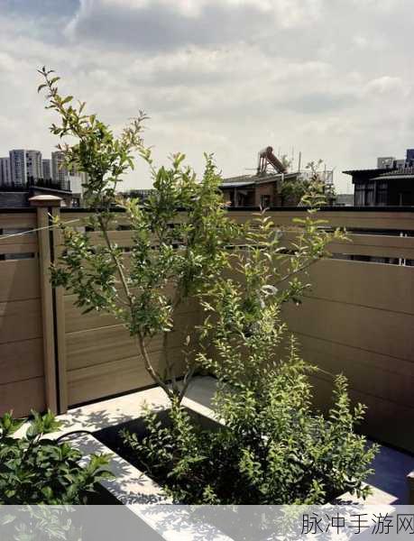 幸福小农院，打造你的梦幻田园，开启种植之旅