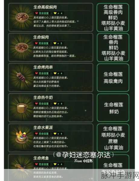 塞尔达传说，揭秘火辣海陆煎烤的完美配方与制作攻略