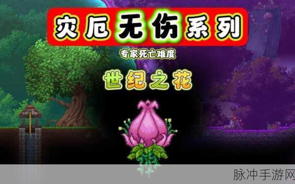 泰拉瑞亚深度攻略，解锁世纪之花电音吉他的炫酷秘诀