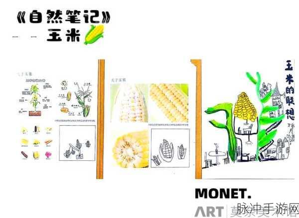 探索创造与魔法，揭秘玉米宝藏的奇妙之旅