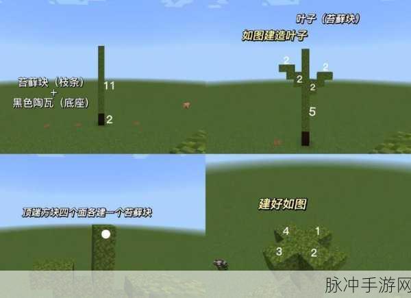 我的世界玫瑰花获取与种植全攻略