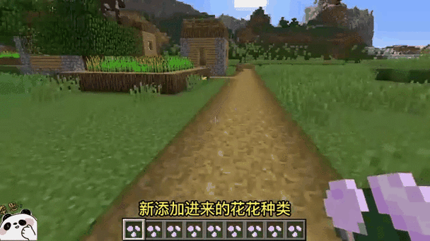 我的世界玫瑰花获取与种植全攻略
