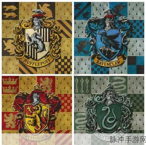 哈利波特魔法觉醒四大学院深度解析,特色、优势与选择攻略