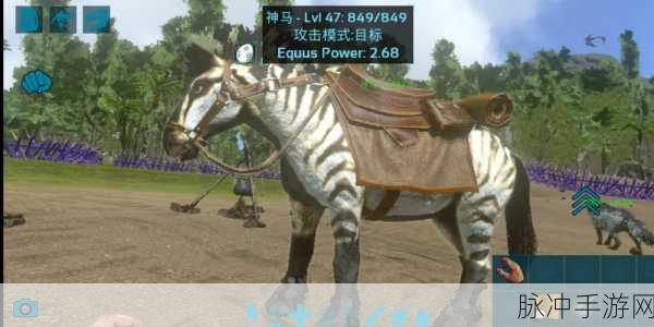 方舟手游深度解析,equus saddle是什么及其使用攻略
