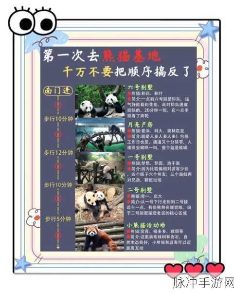 烟雨江湖熊猫任务全攻略，解锁喂熊猫的奇妙之旅