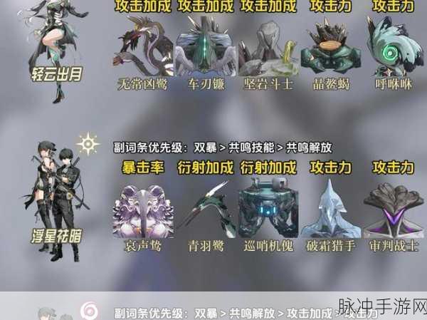 鸣潮深度解析，白芷声骸最强搭配攻略，解锁战斗新境界