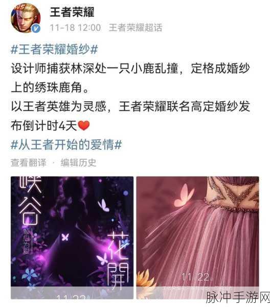 王者荣耀瑶花开系列婚纱价格与皮肤深度解析