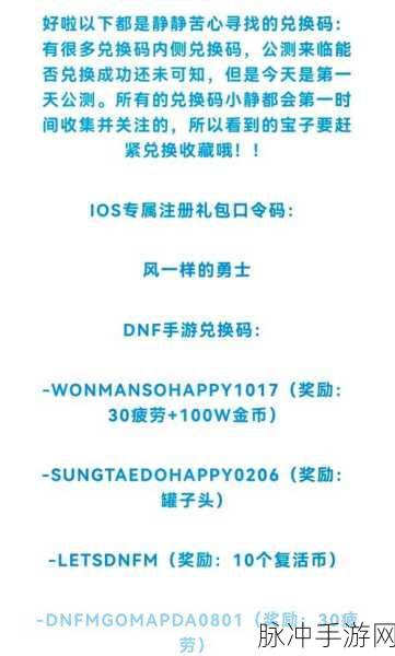 DNF手游国服新手职业指南,热门职业选择与成长策略全解析