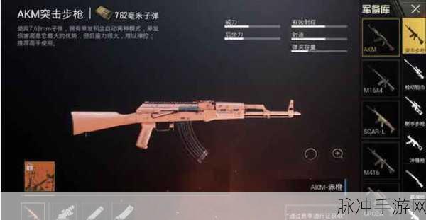 枪林弹雨,你选哪把枪?——刺激战场枪械选择深度剖析