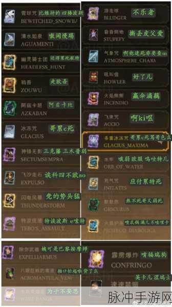 哈利波特,魔法觉醒手游攻略,全面解析血量增加方法