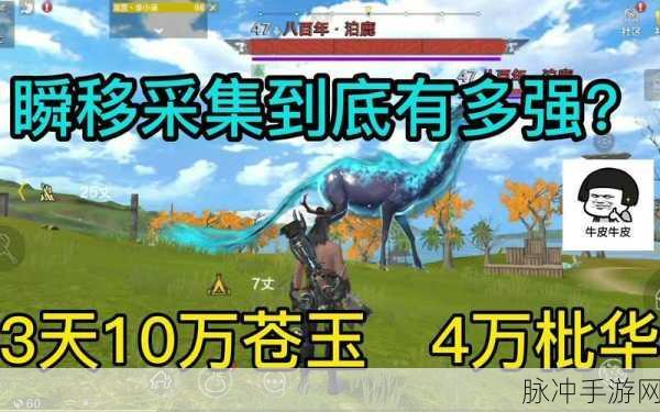 妄想山海苍玉深度剖析,用途、作用效果及全方位采集攻略