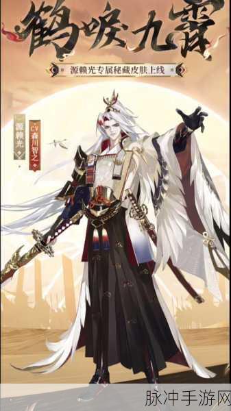阴阳师新角色揭秘，源赖光技能效果全解析及实战应用