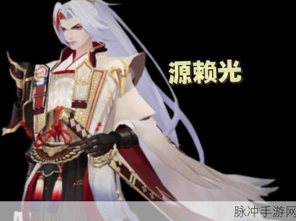 阴阳师新角色揭秘,源赖光技能效果全解析及实战应用