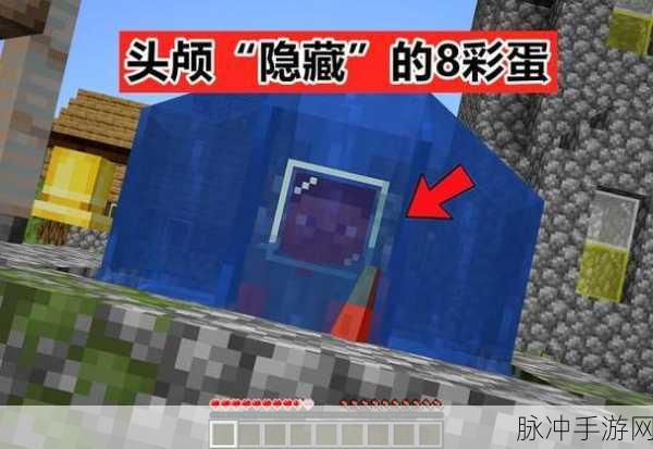 我的世界头颅作用详解,解锁游戏新玩法